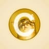 Catecoin